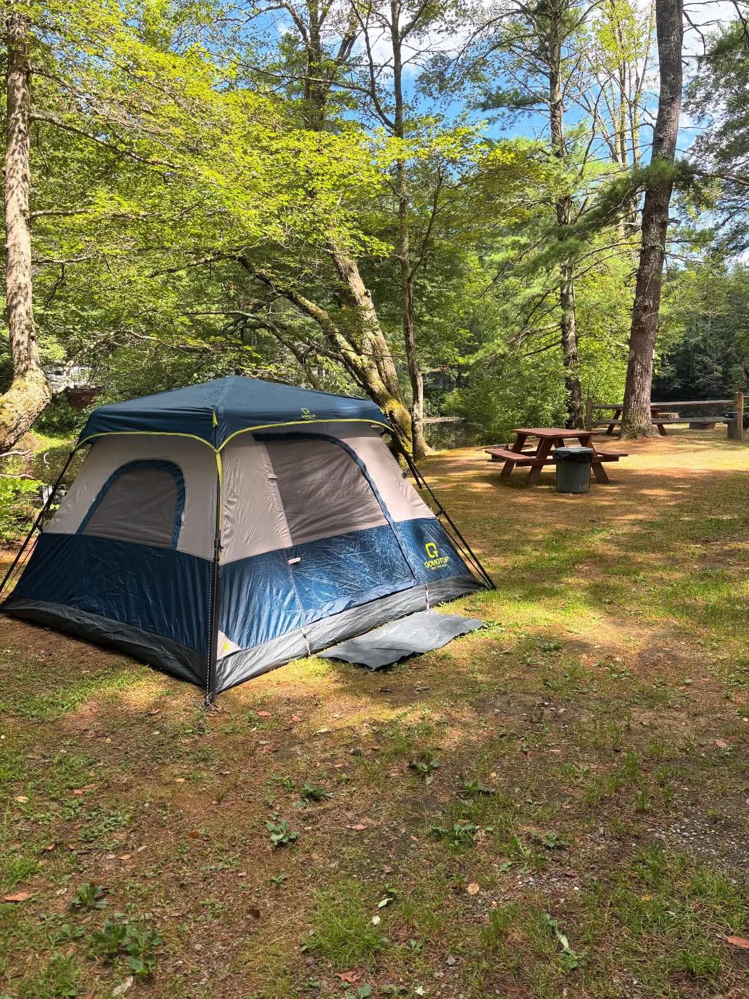 Campground Landscape